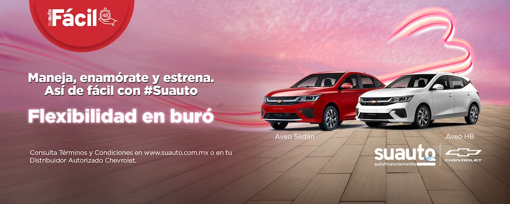 Suauto